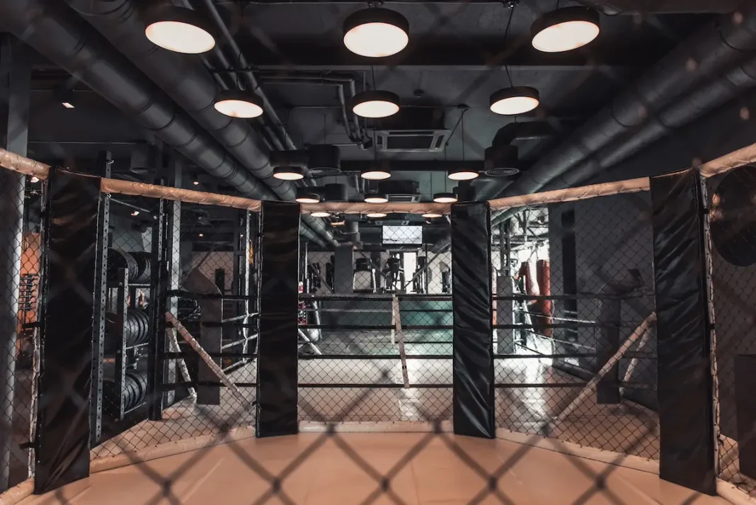 Quelle chaîne diffuse l'UFC et à quelle heure _ Le guide complet 2026