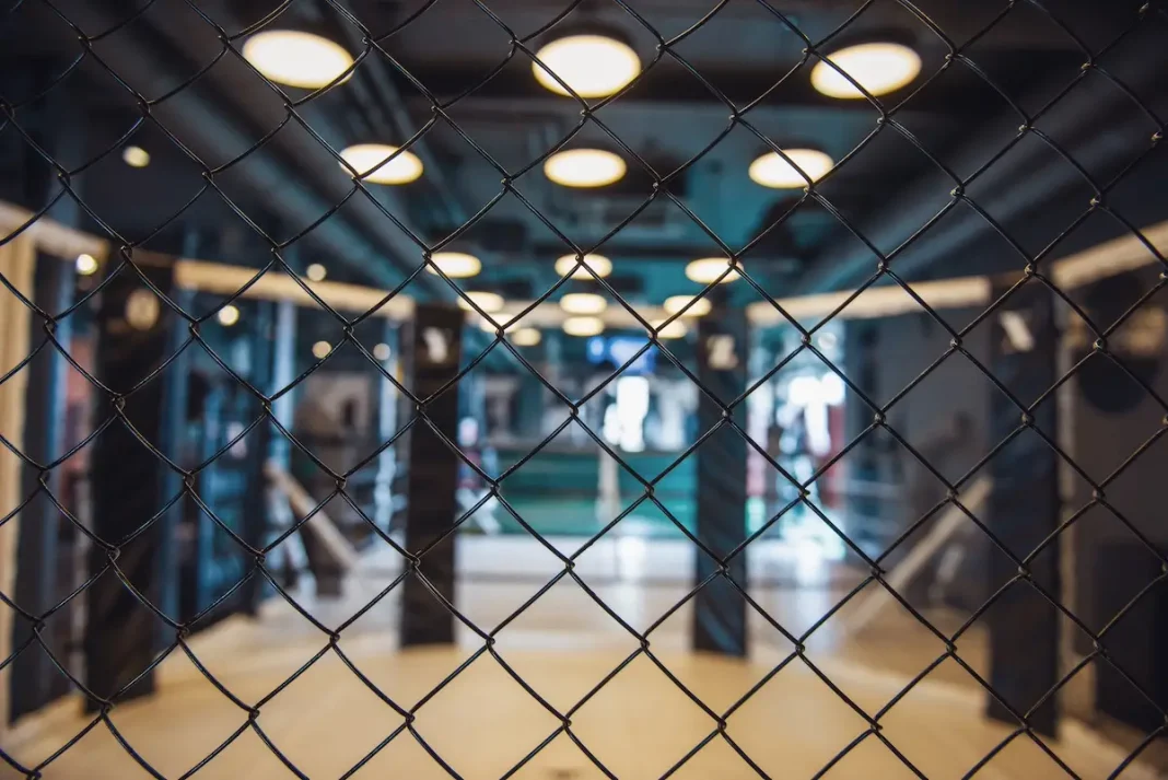 Où voir le MMA ce soir ? Le guide complet pour ne rater aucun combat en 2026