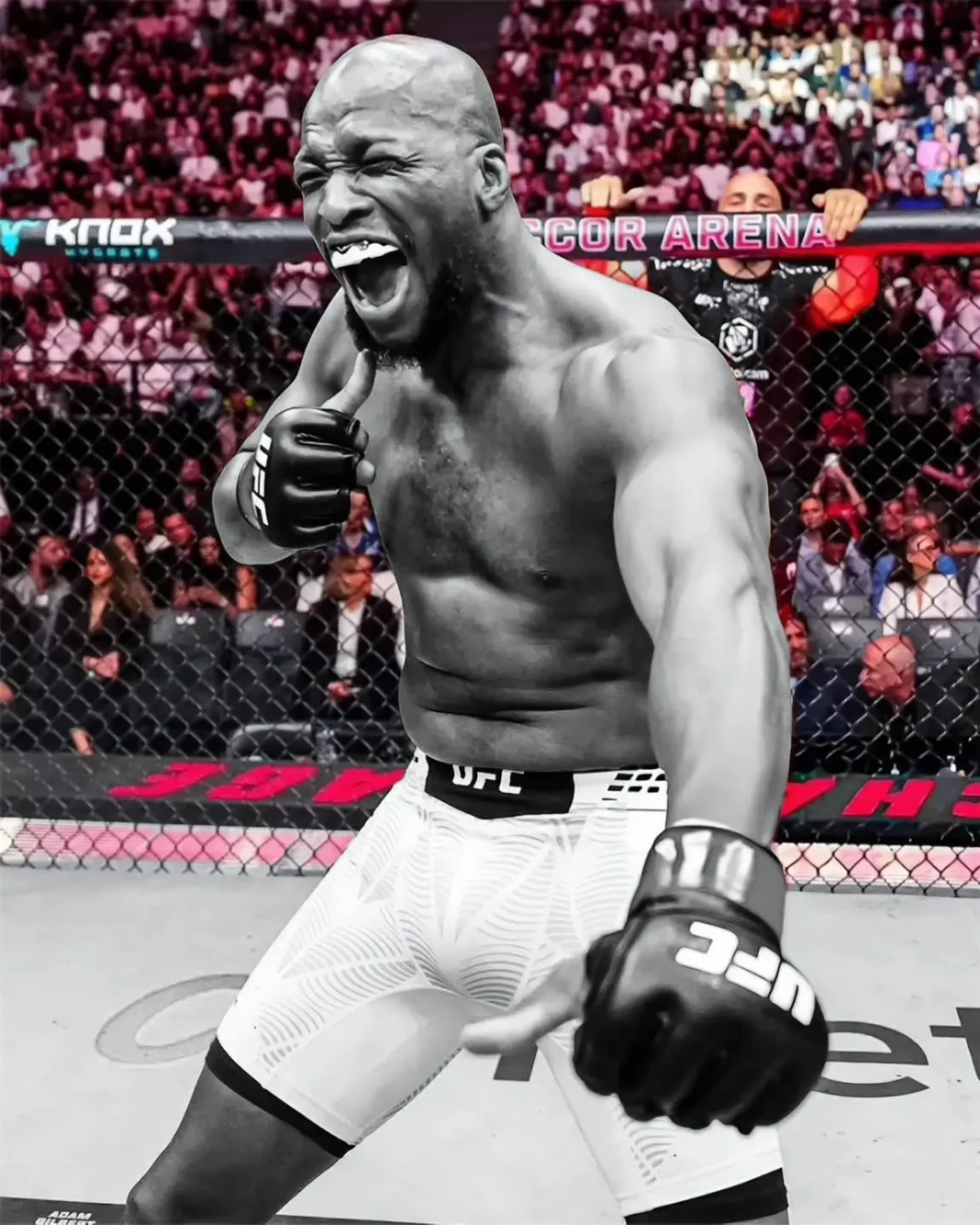 mvp-ufc